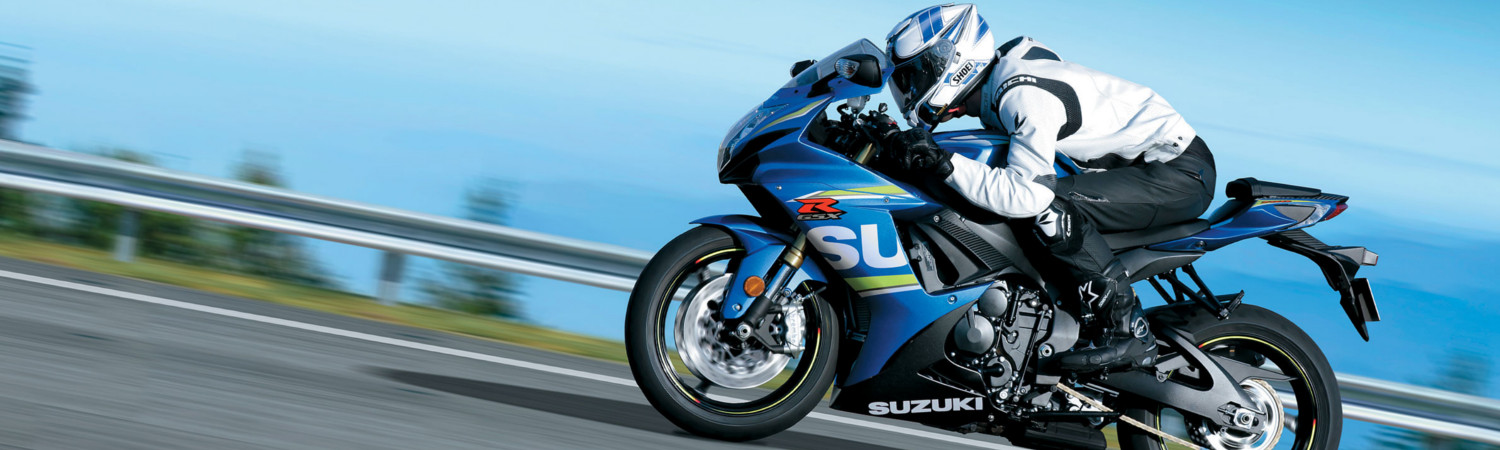 2019 Suzuki GSX250R for sale in Reading Standard Motorsports, Reading, Pennsylvania